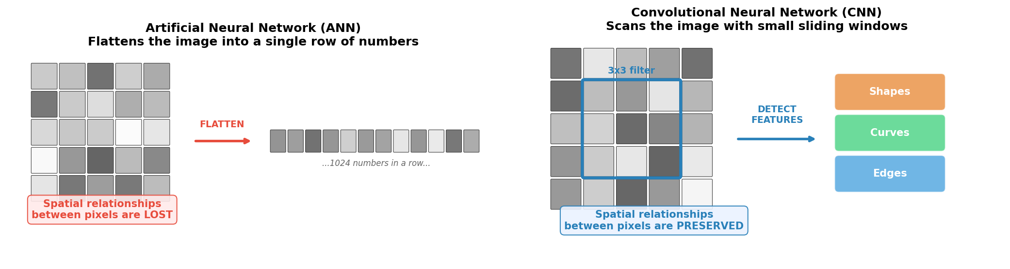 How ANNs and CNNs see images differently